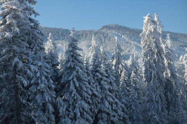 Aparthotel Borovets Gardens Kültér fotó